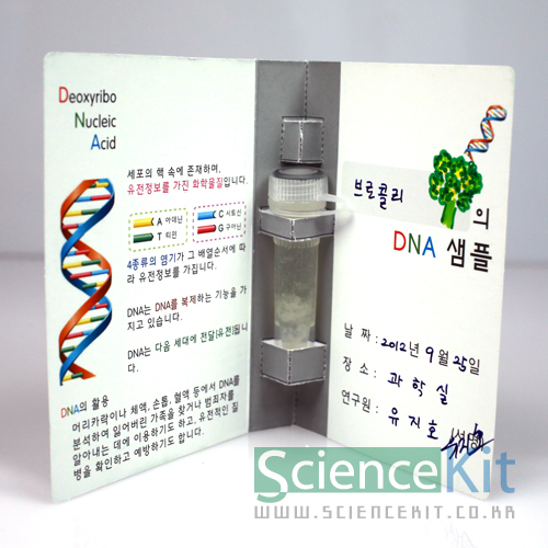 DNA추출 I -식물세포[4인용]