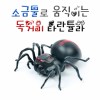 소금물로 움직이는 독거미 타란튤라