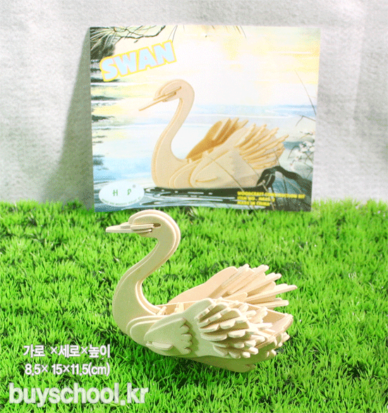 SWAN(백조)