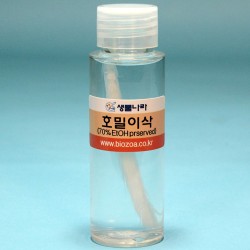 호밀이삭(고정)