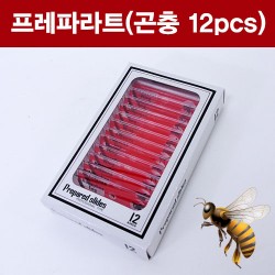 프레파라트(곤충 12pcs)