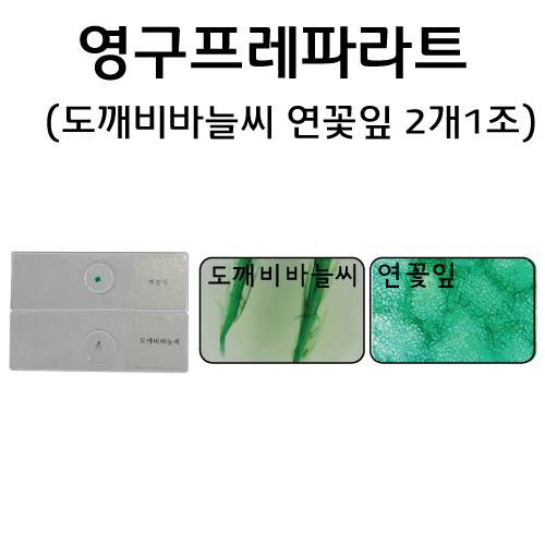 영구프레파라트 - 도깨비바늘씨 연꽃잎 프레파라트 2개1조