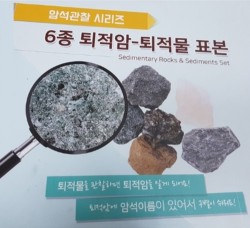 6종퇴적암-퇴적물표본